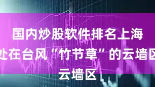 国内炒股软件排名上海处在台风“竹节草”的云墙区