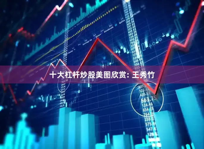 十大杠杆炒股美图欣赏: 王秀竹