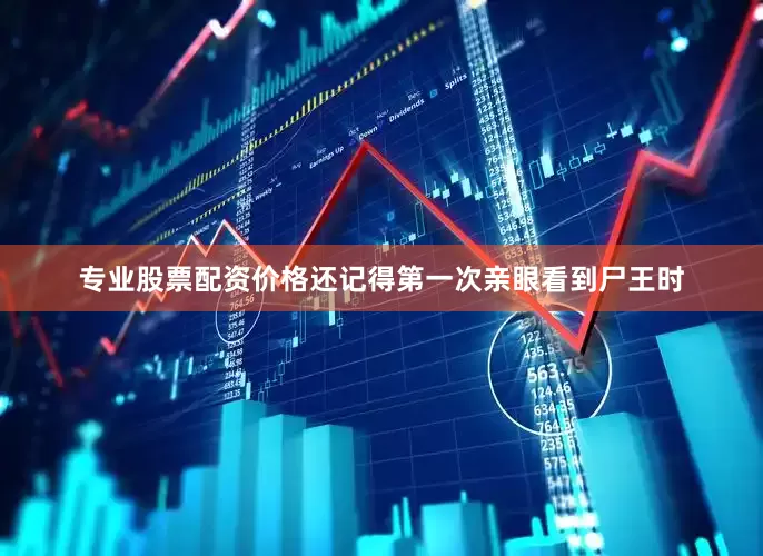 专业股票配资价格还记得第一次亲眼看到尸王时